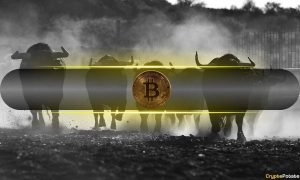 Bitcoin Supply Distribution Begins But Sustained Bull Market to Continue: Analysis