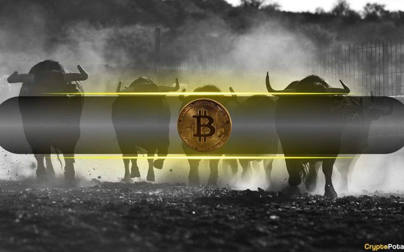 Bitcoin Supply Distribution Begins But Sustained Bull Market to Continue: Analysis