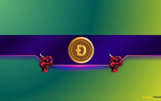Here's Why Dogecoin (DOGE) Might be Gearing up for a "Massive Bull Run:" Analyst