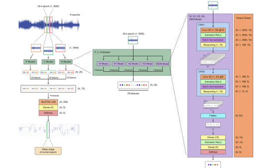 Meet ZleepAnlystNet: A Novel Deep Learning Model for Automatic Sleep Stage Scoring based on Single-Channel Raw EEG Data Using Separating Training